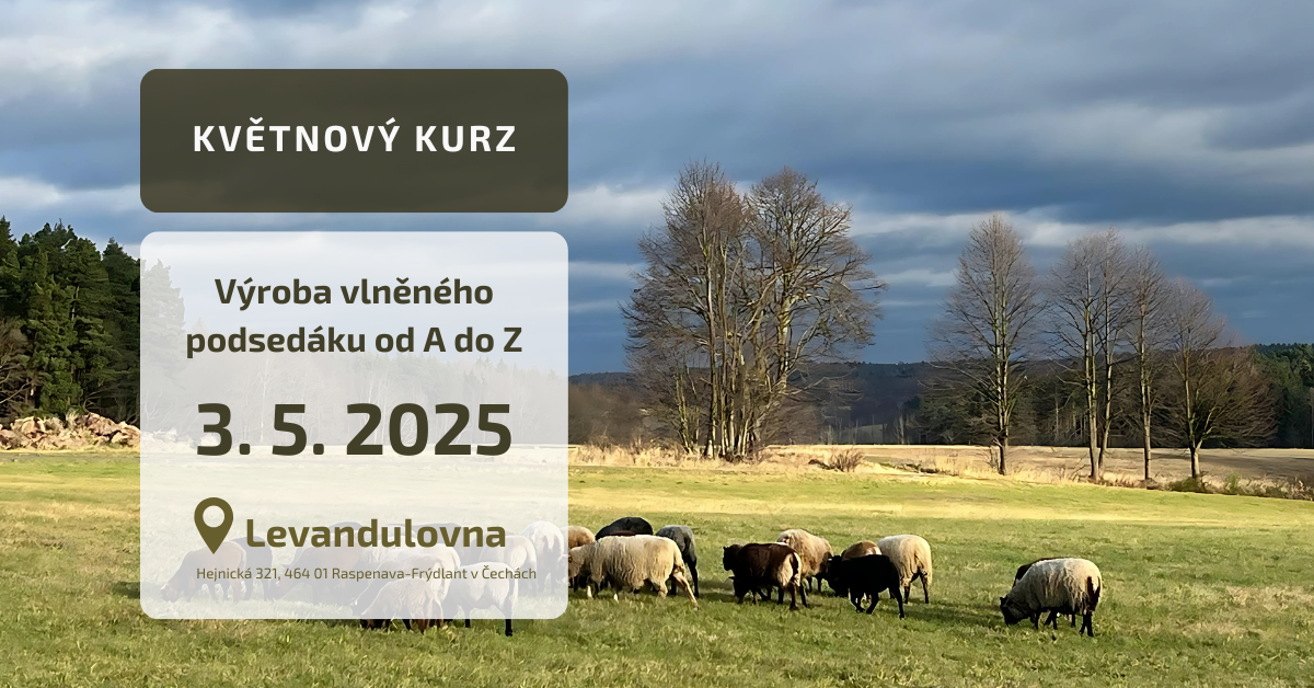Kopie návrhu Kopie návrhu Akce sleva (1)